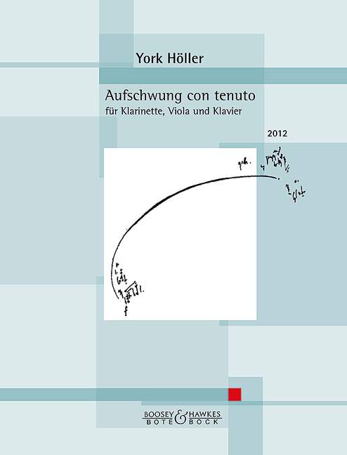 Vorderes Coverbild Aufschwung con tenuto 
