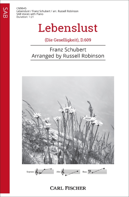 Vorderes Coverbild Lebenslust 