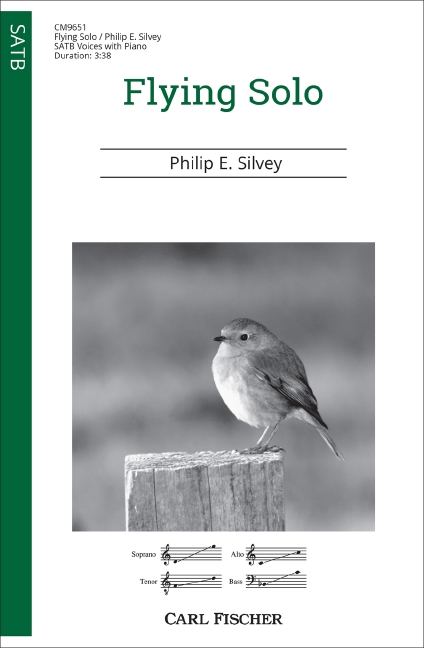 Vorderes Coverbild Flying Solo 