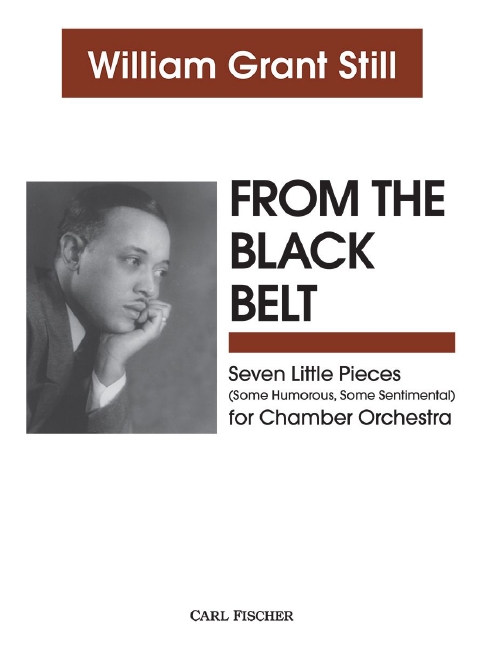 Vorderes Coverbild From the Black Belt 