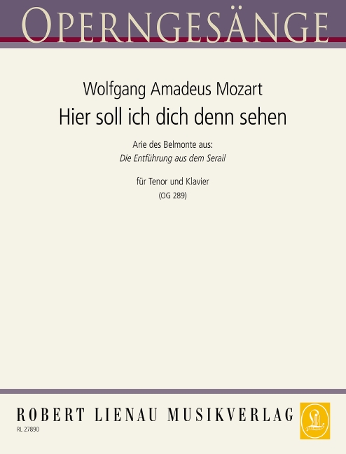 Vorderes Coverbild Hier soll ich dich denn sehen (Entführung) 289