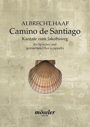 Vorderes Coverbild Camino de Santiago 