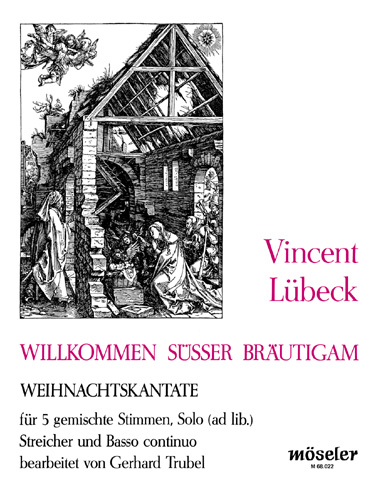 Vorderes Coverbild Willkommen, süsser Bräutigam 
