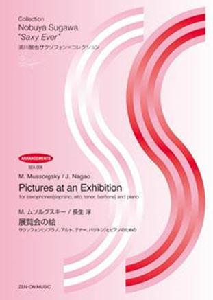 Vorderes Coverbild Pictures at an Exhibition 