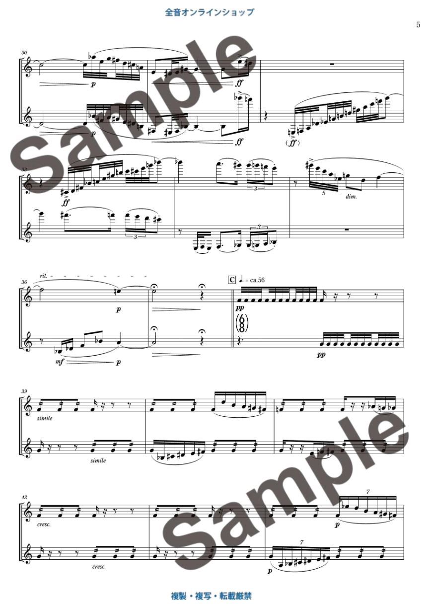 Anderes Coverbild Strata XIII 