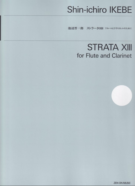 Vorderes Coverbild Strata XIII 
