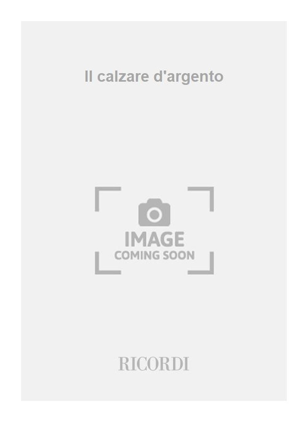 Vorderes Coverbild Il calzare d'argento