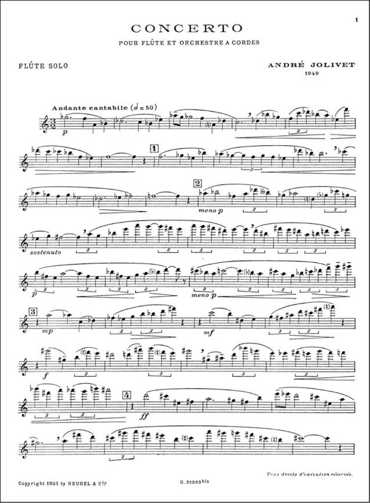 Anderes Coverbild Concerto pour flûte et orchestre à cordes