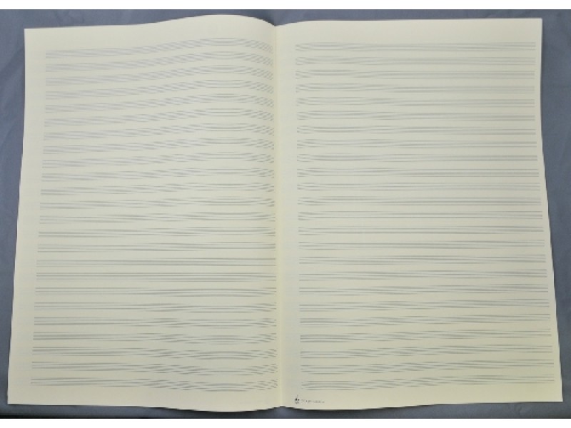 Vorderes Coverbild Notenpapier - DIN A3 hoch 24 Systeme