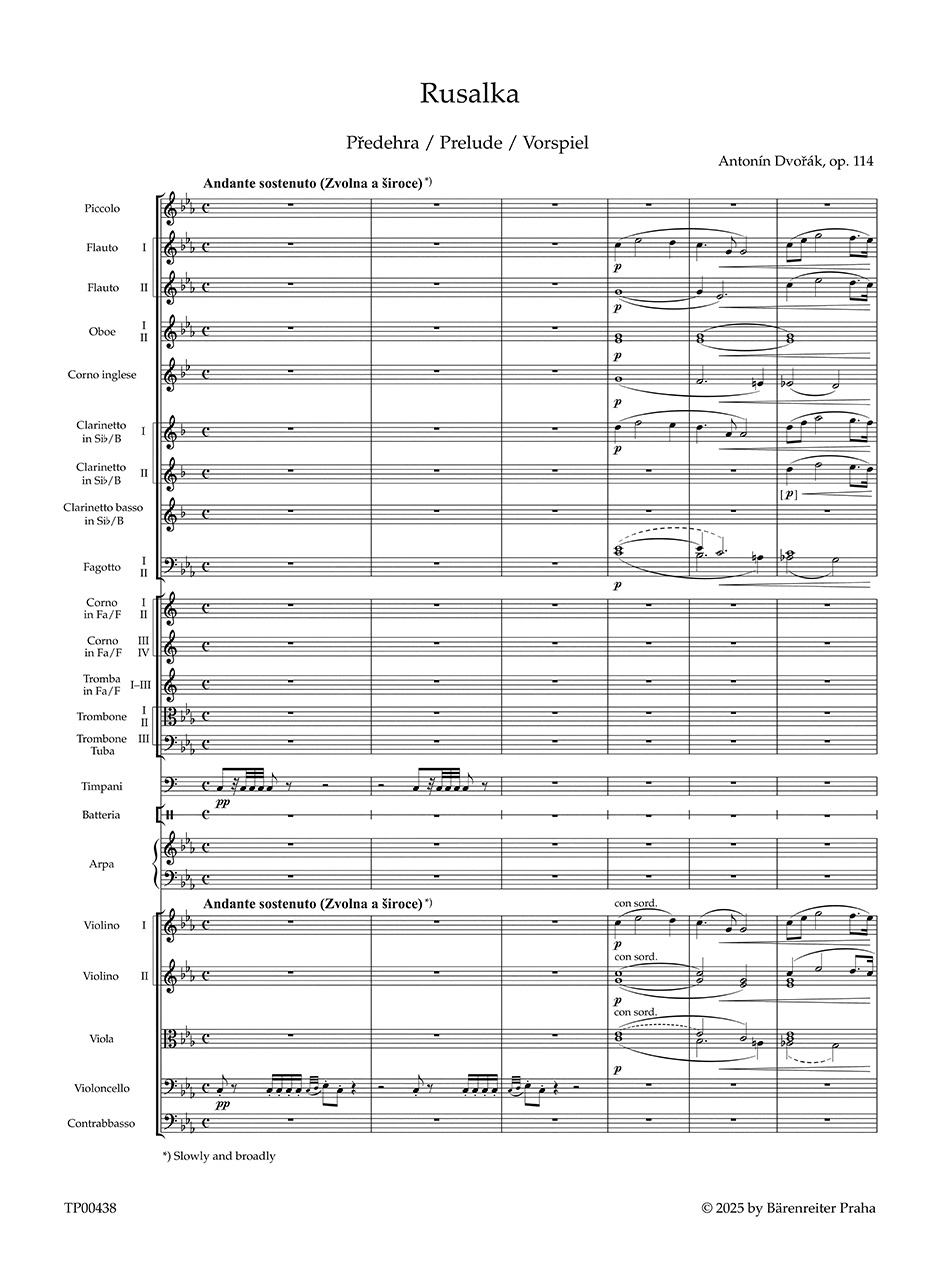 Vorderes Coverbild Rusalka op. 114