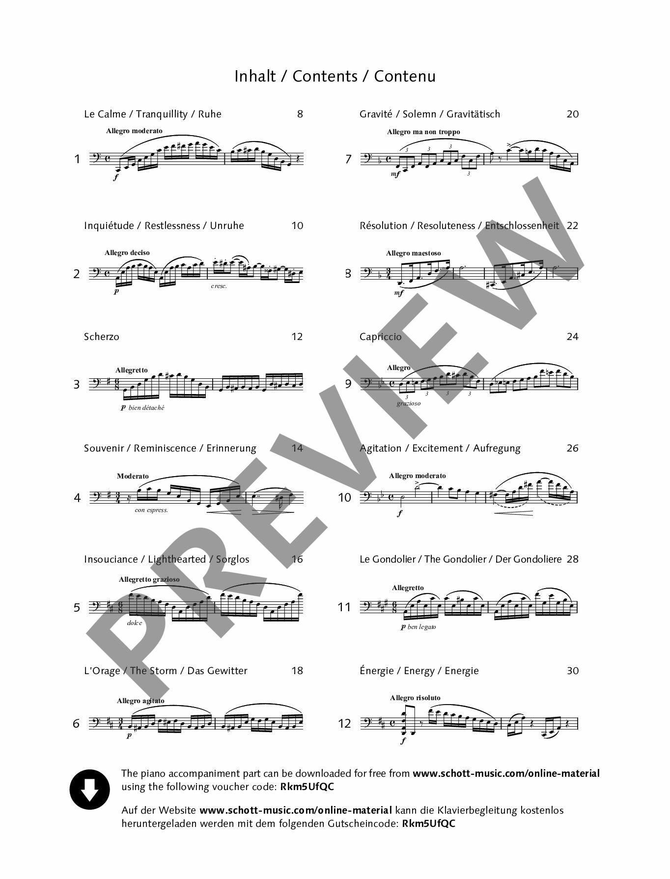 Anderes Coverbild 12 Etudes-Caprices caractéristiques op. 100