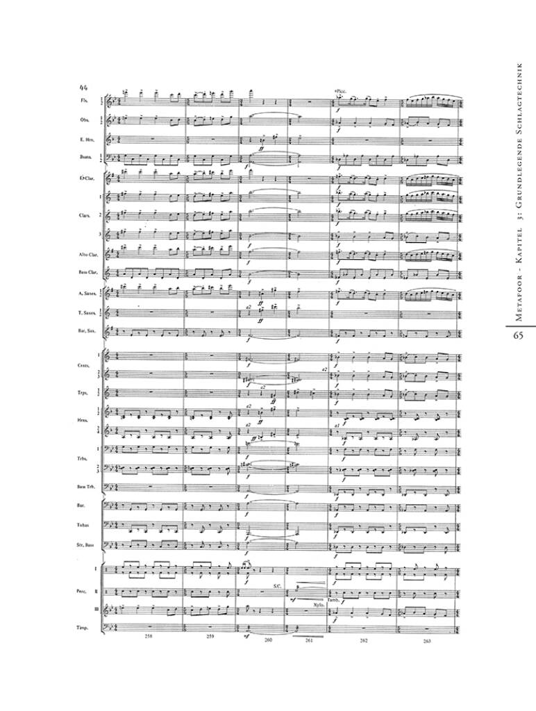 Anderes Coverbild Metafoor - Die Sprache des Dirigierens