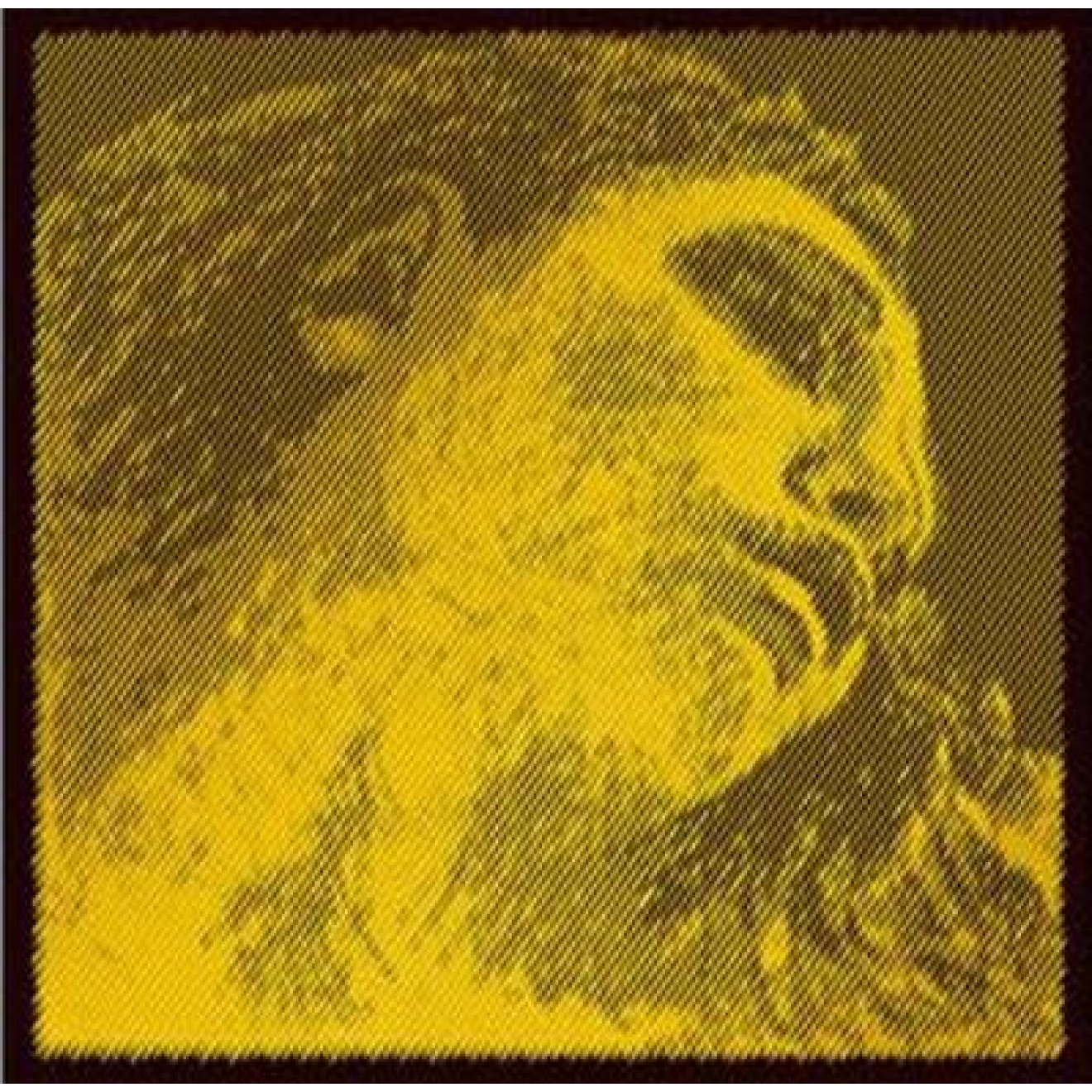 Vorderes Coverbild Pirastro Evah Pirazzi Gold Violine SATZ, G-Gold und E-Kugel