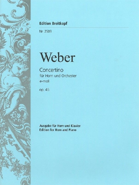 Anderes Coverbild Concertino e-Moll op. 45