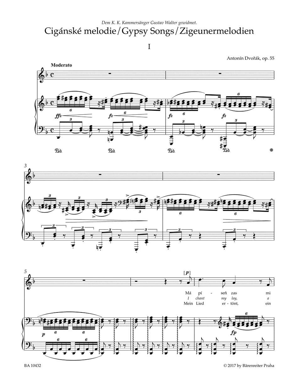 Anderes Coverbild Zigeunermelodien op. 55