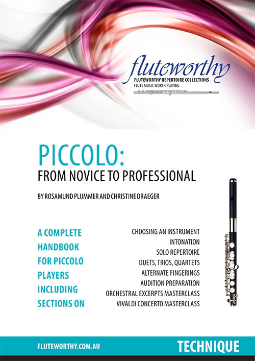 Vorderes Coverbild Piccolo: from novice to professional