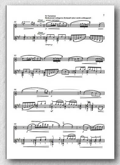 Anderes Coverbild Variationen über Schuberts Lied "An die Laute"