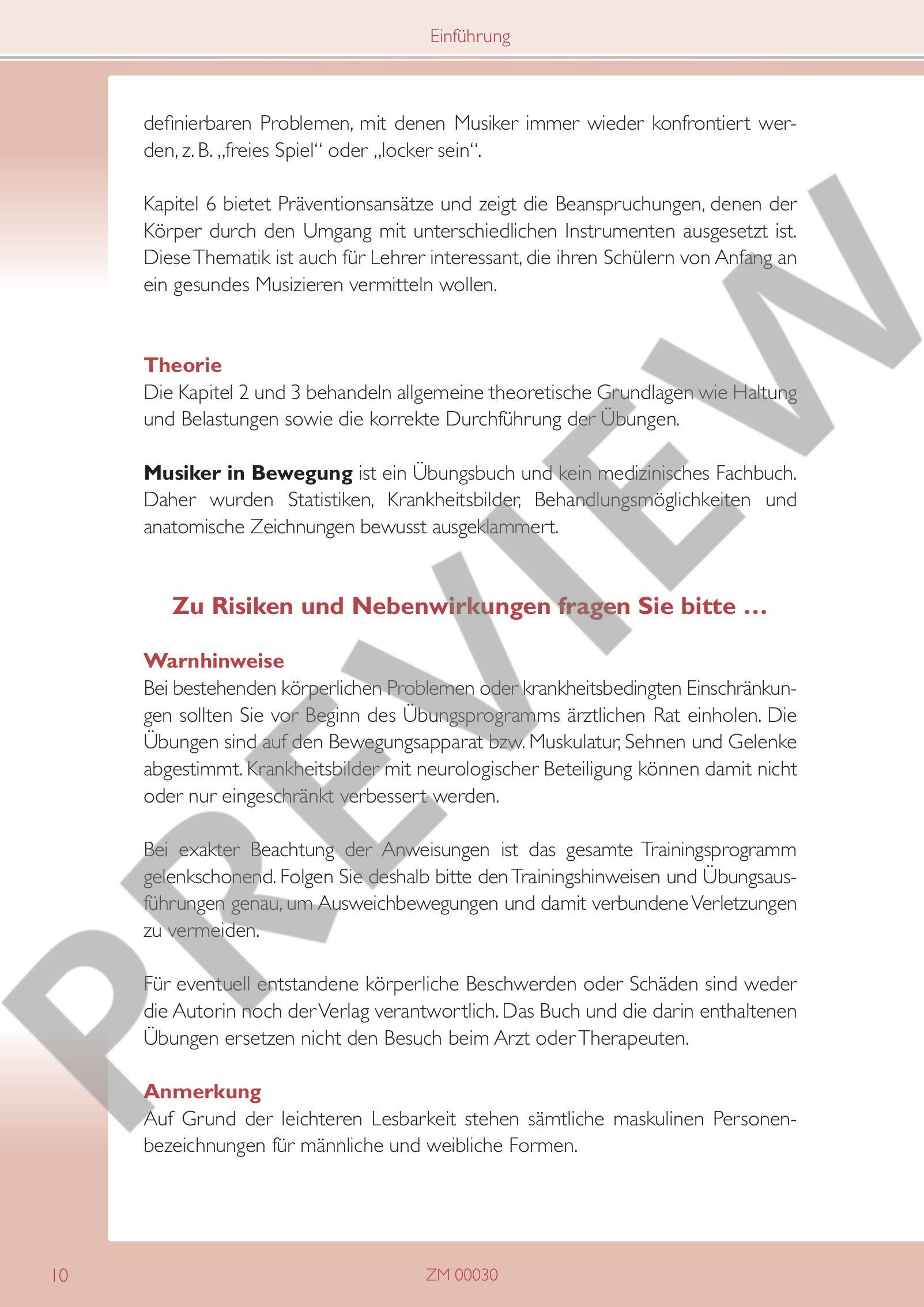 Anderes Coverbild Musiker in Bewegung