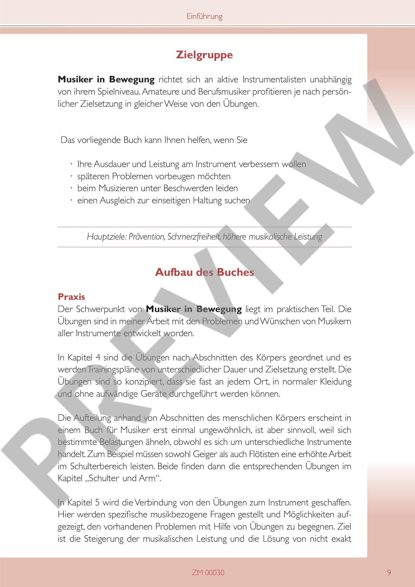 Anderes Coverbild Musiker in Bewegung