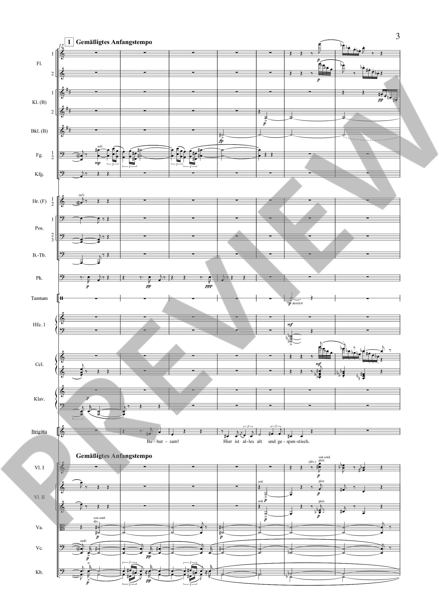 Anderes Coverbild Die tote Stadt op. 12