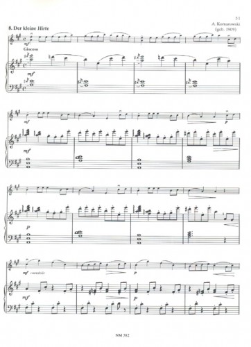 Anderes Coverbild Der junge Geiger