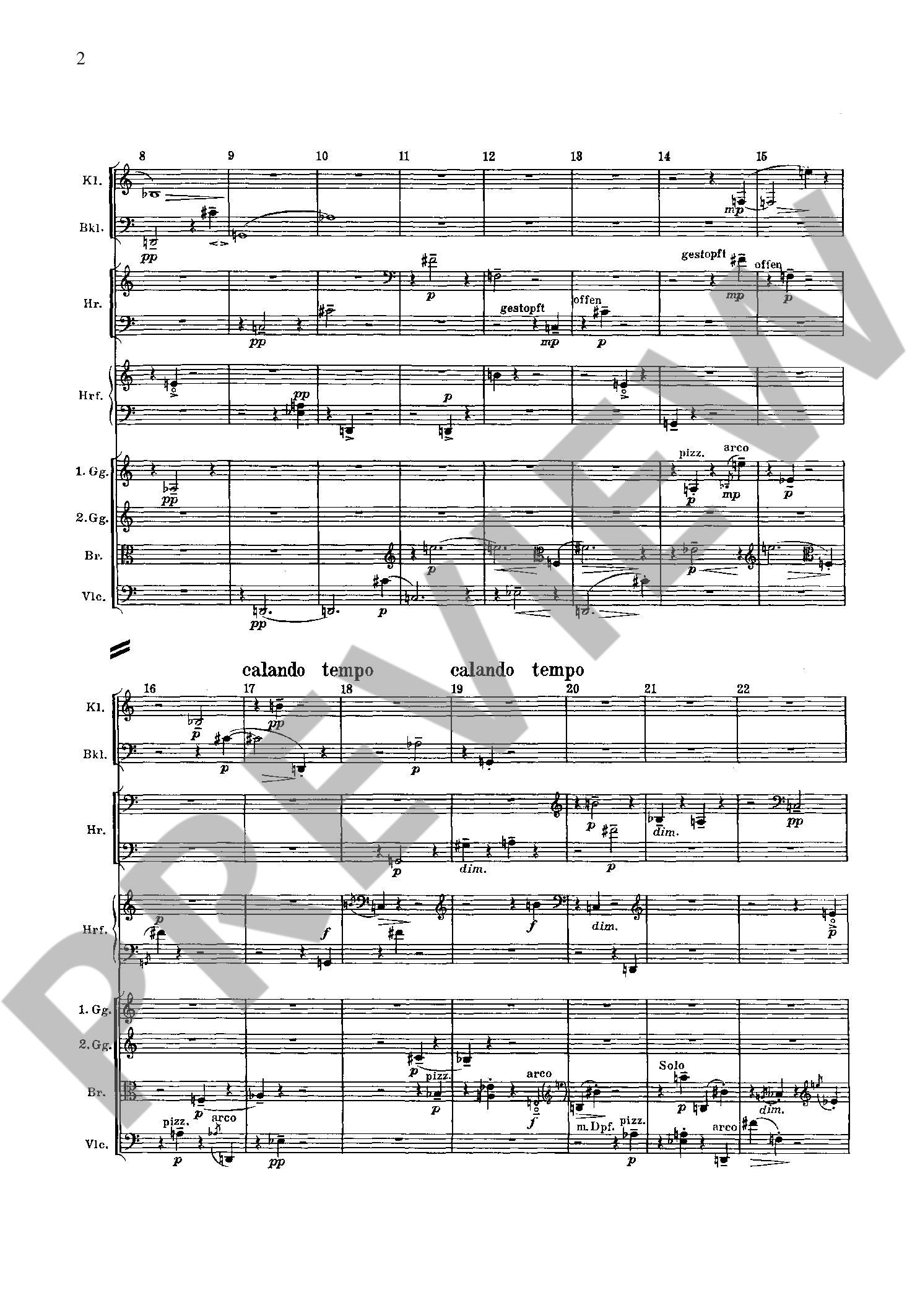 Anderes Coverbild Symphony op. 21