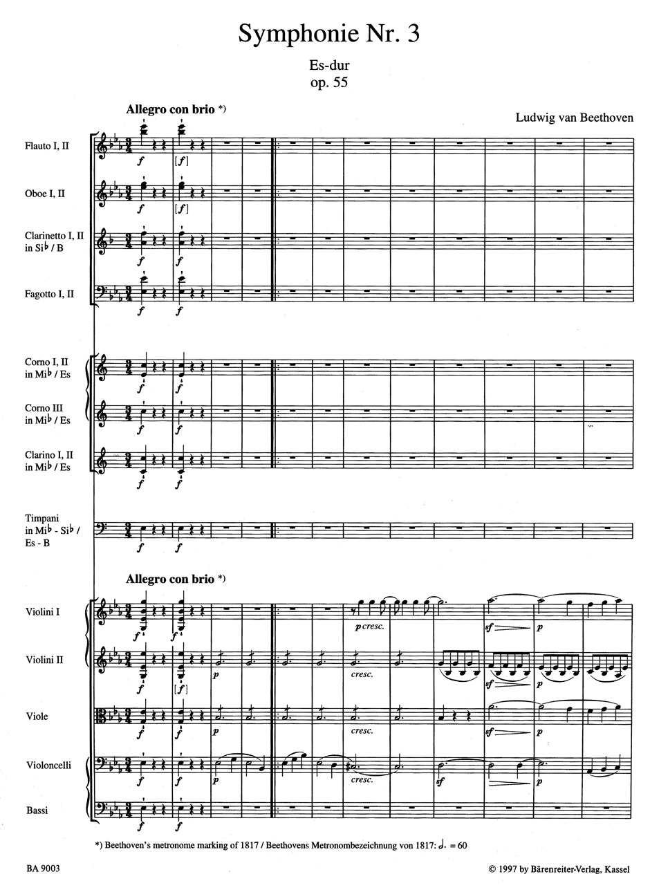 Anderes Coverbild Die neun Symphonien