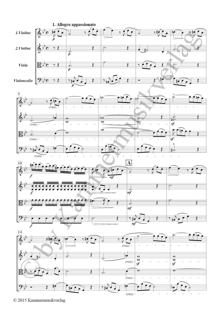 Anderes Coverbild Streichquartett g-Moll op. 14