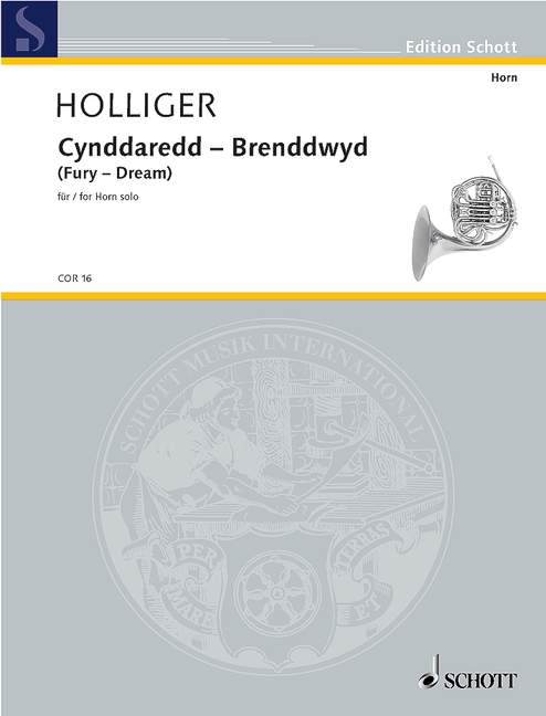 Vorderes Coverbild Cynddaredd – Brenddwyd 