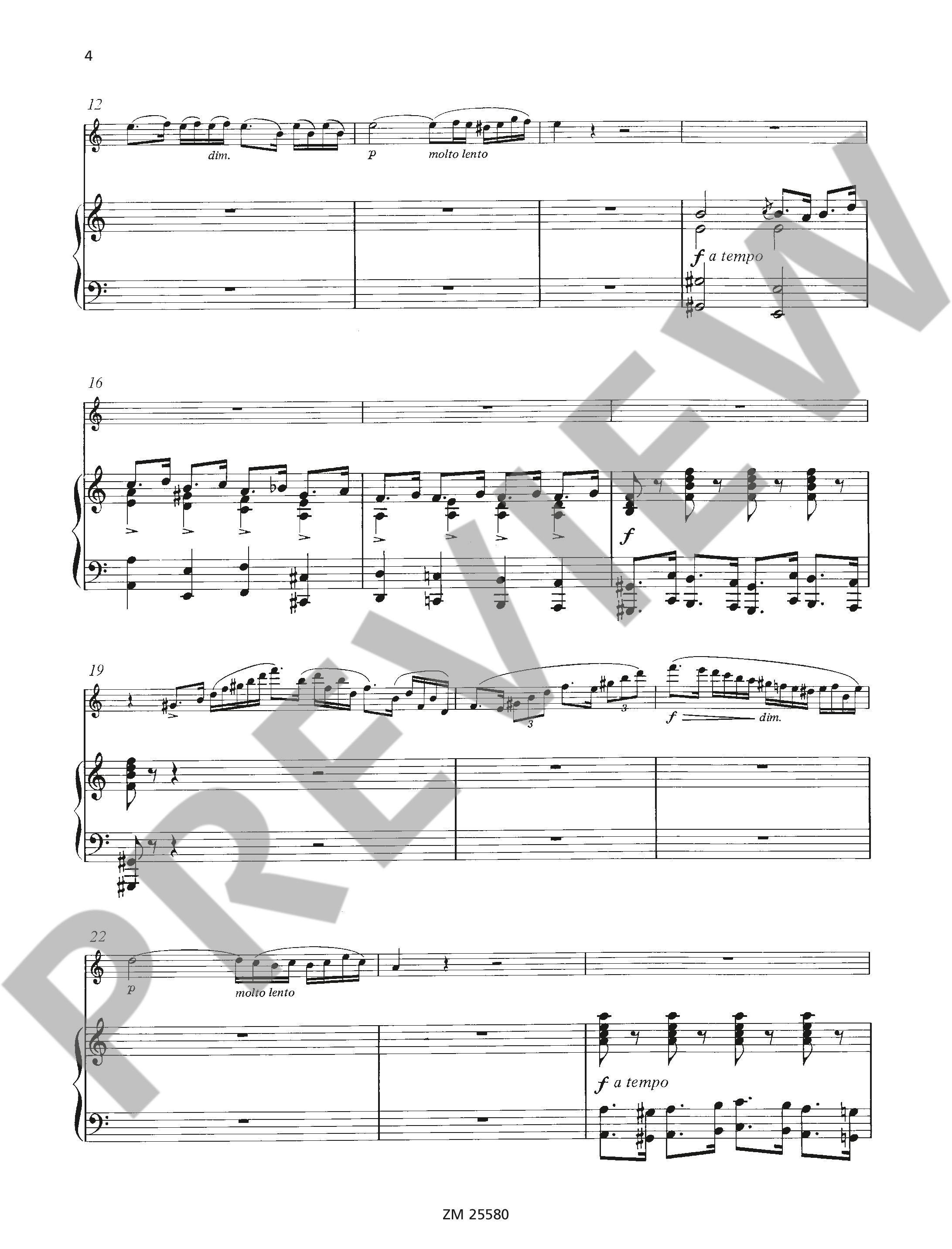 Anderes Coverbild Ungarische Rhapsodie op. 385