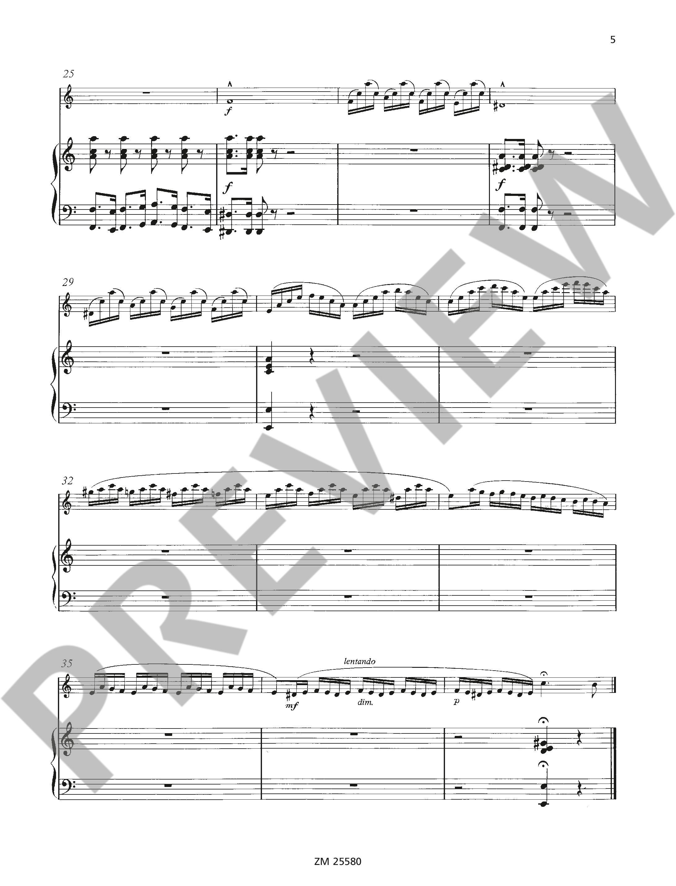 Anderes Coverbild Ungarische Rhapsodie op. 385