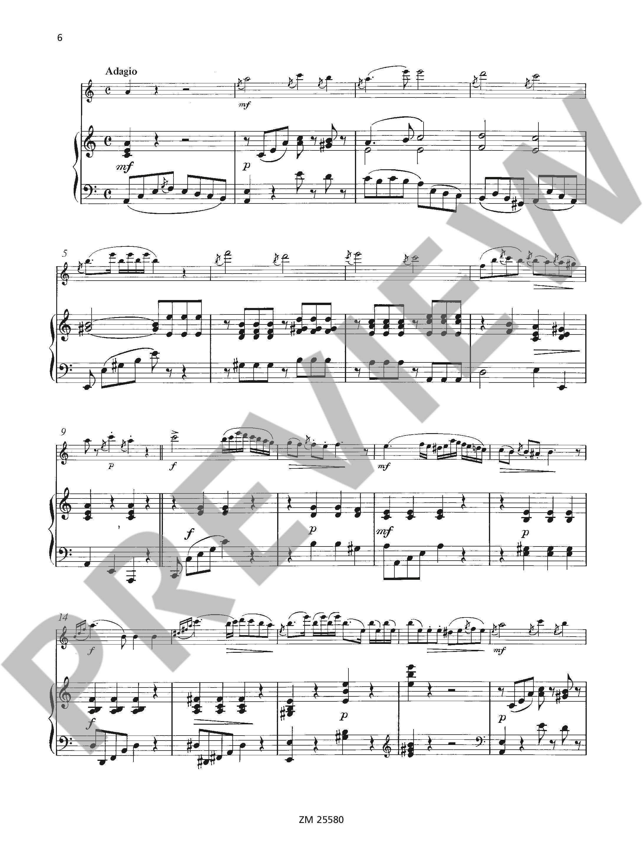 Anderes Coverbild Ungarische Rhapsodie op. 385