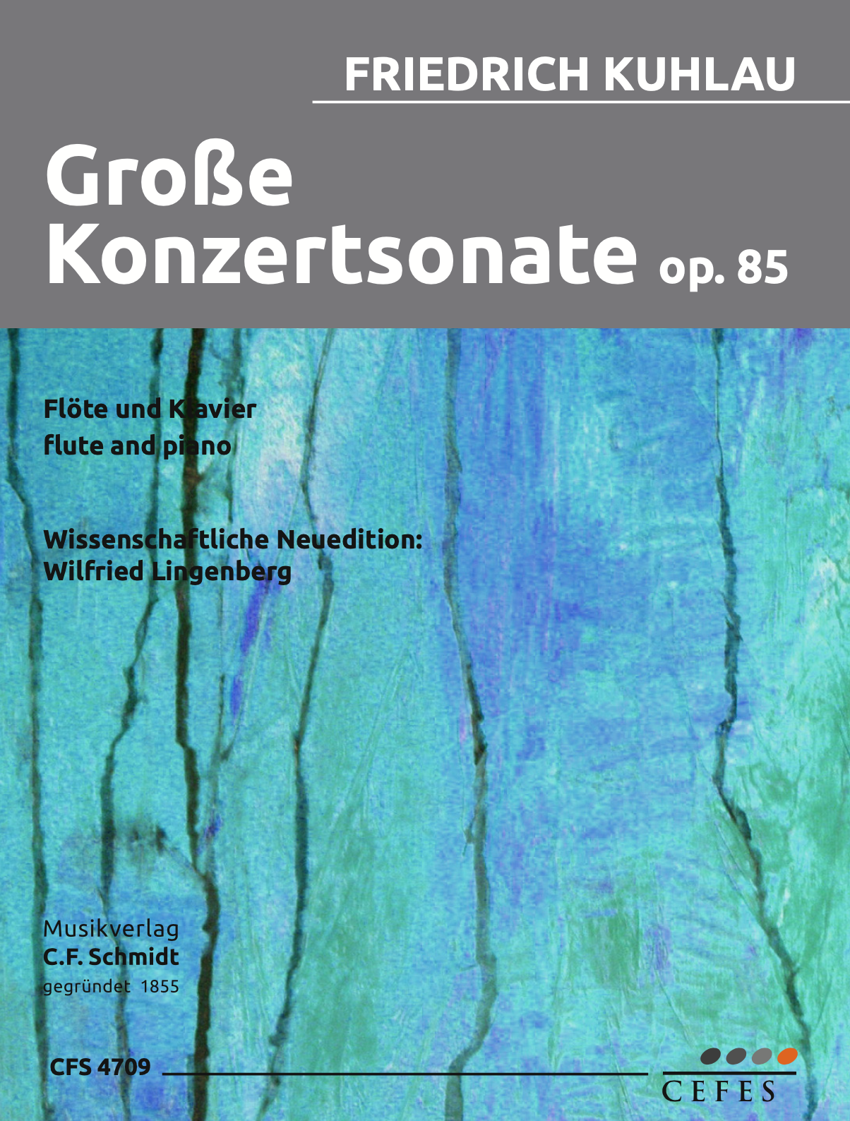Vorderes Coverbild Große Konzertsonate op. 85