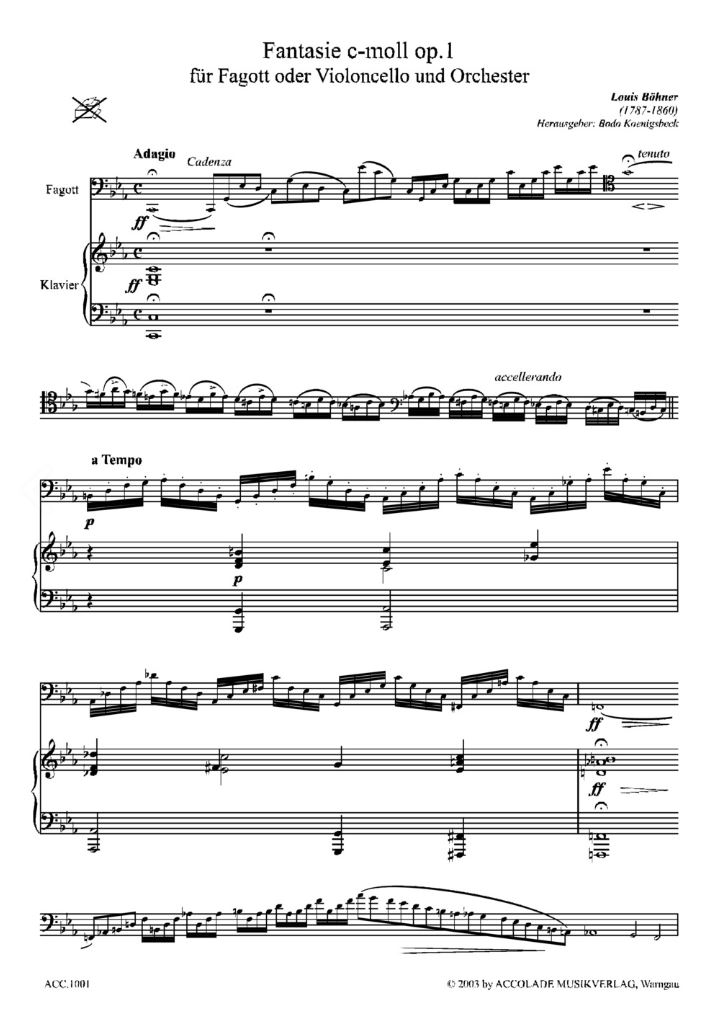 Anderes Coverbild Fantasie c-moll op. 1 