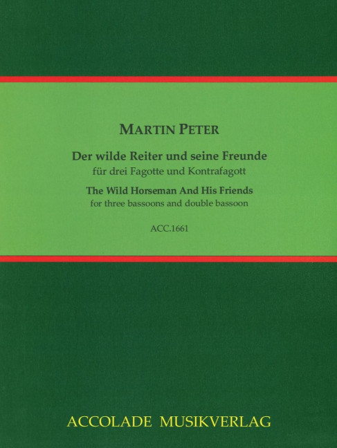 Vorderes Coverbild Der Wilde Reiter und seine Freunde 