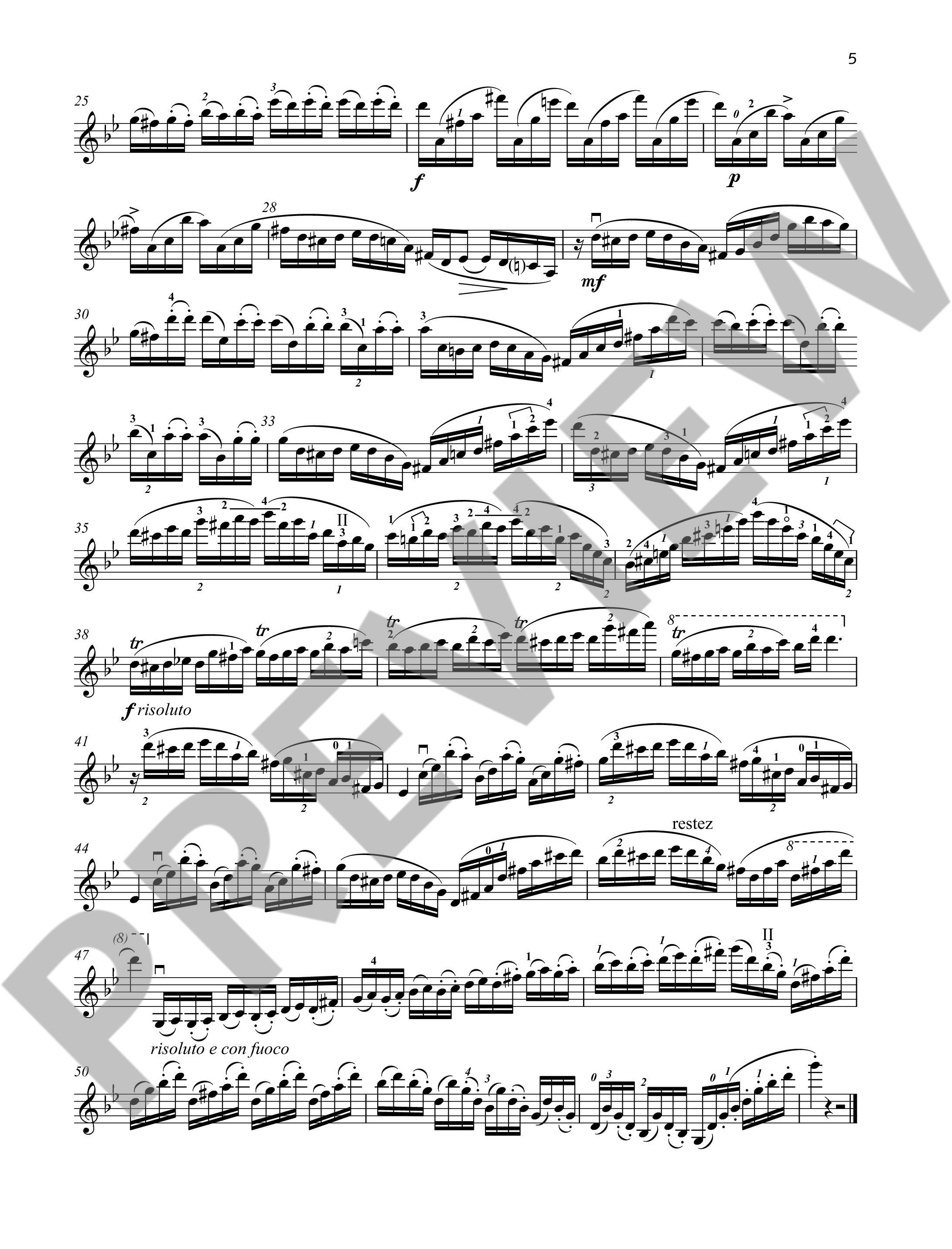 Anderes Coverbild 20 Études brillantes et caractéristiques op. 73