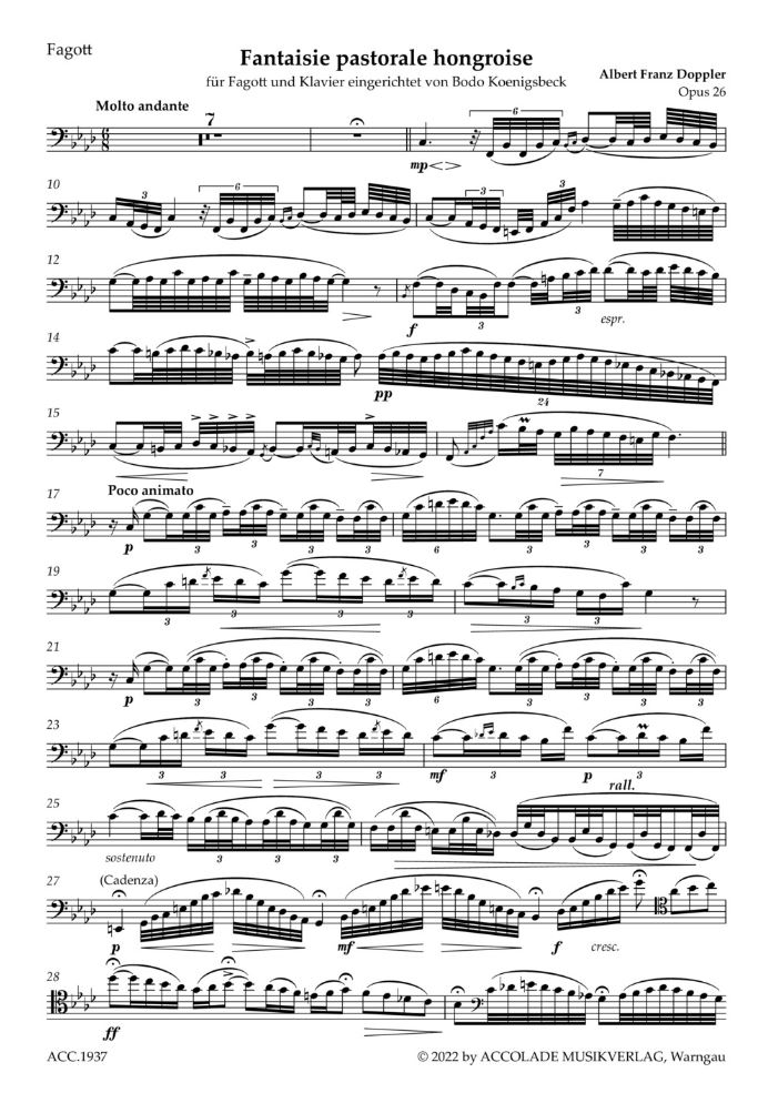 Anderes Coverbild Fantaisie pastorale hongroise op. 26 