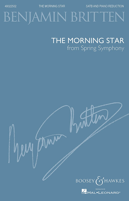 Vorderes Coverbild The Morning Star 
