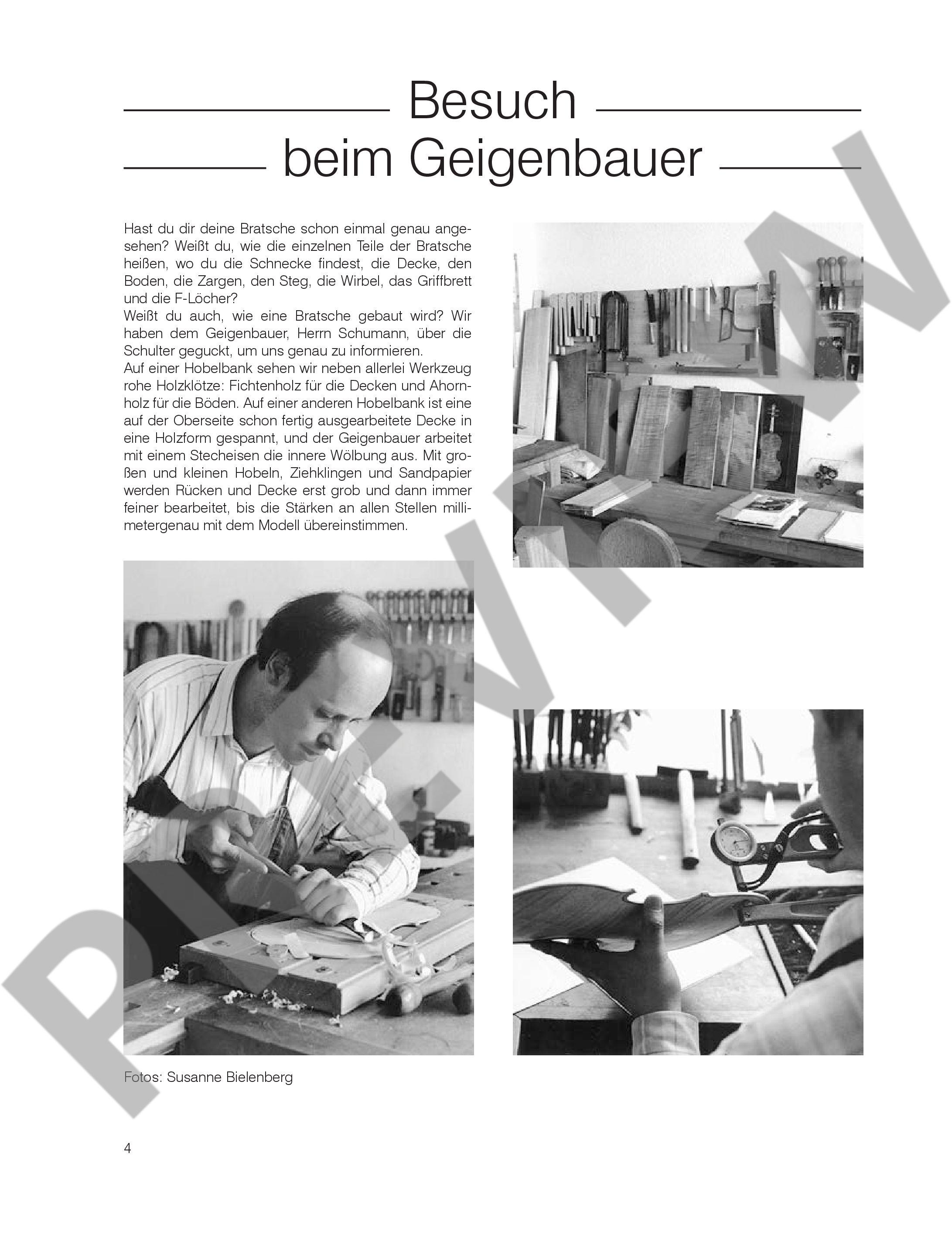 Anderes Coverbild Die fröhliche Viola