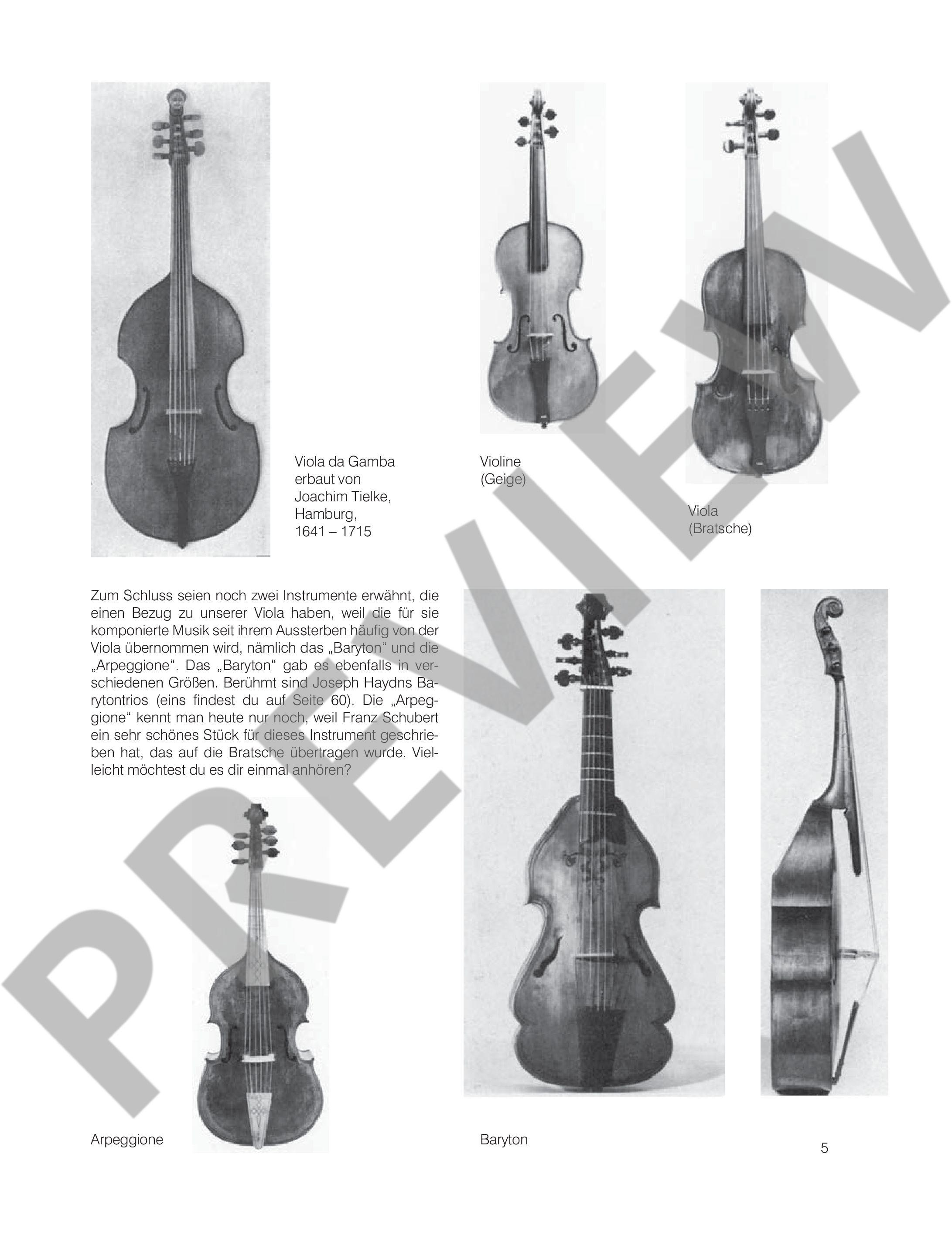 Anderes Coverbild Die fröhliche Viola
