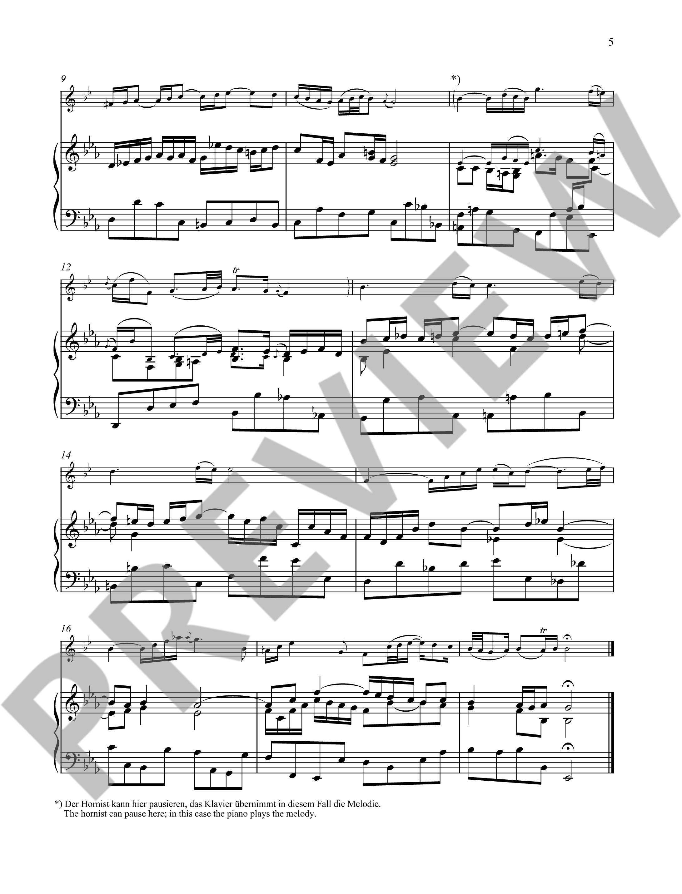 Anderes Coverbild Classical Highlights - Horn