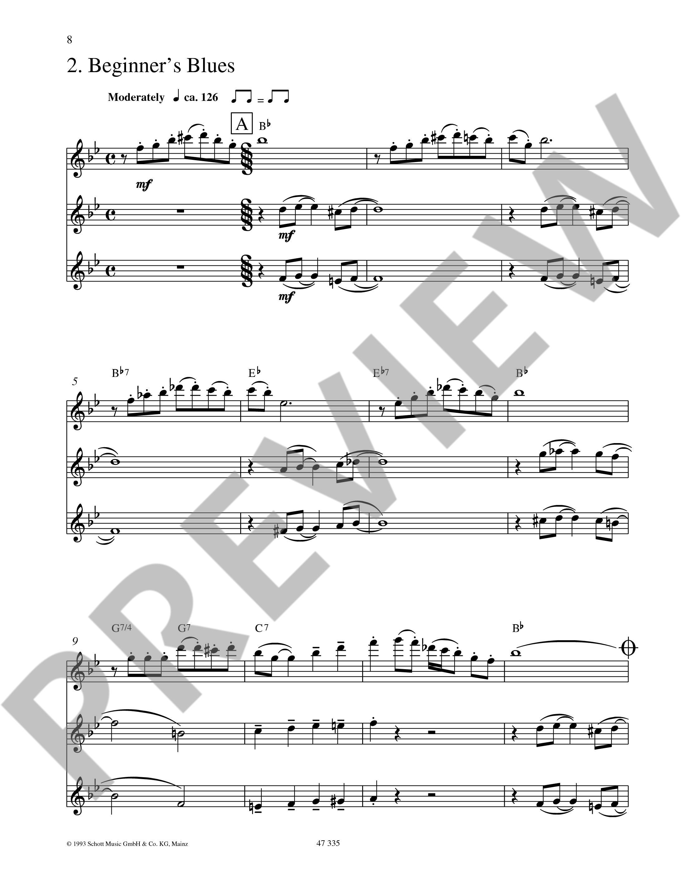 Anderes Coverbild Flute Fun