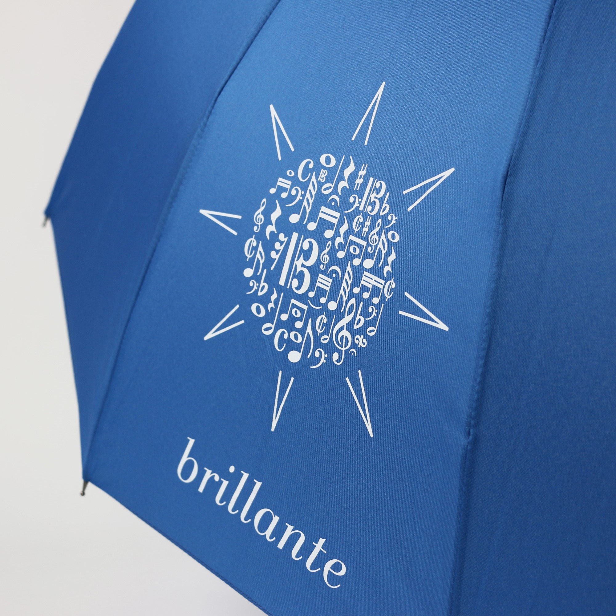 Anderes Coverbild Henle-Schirm