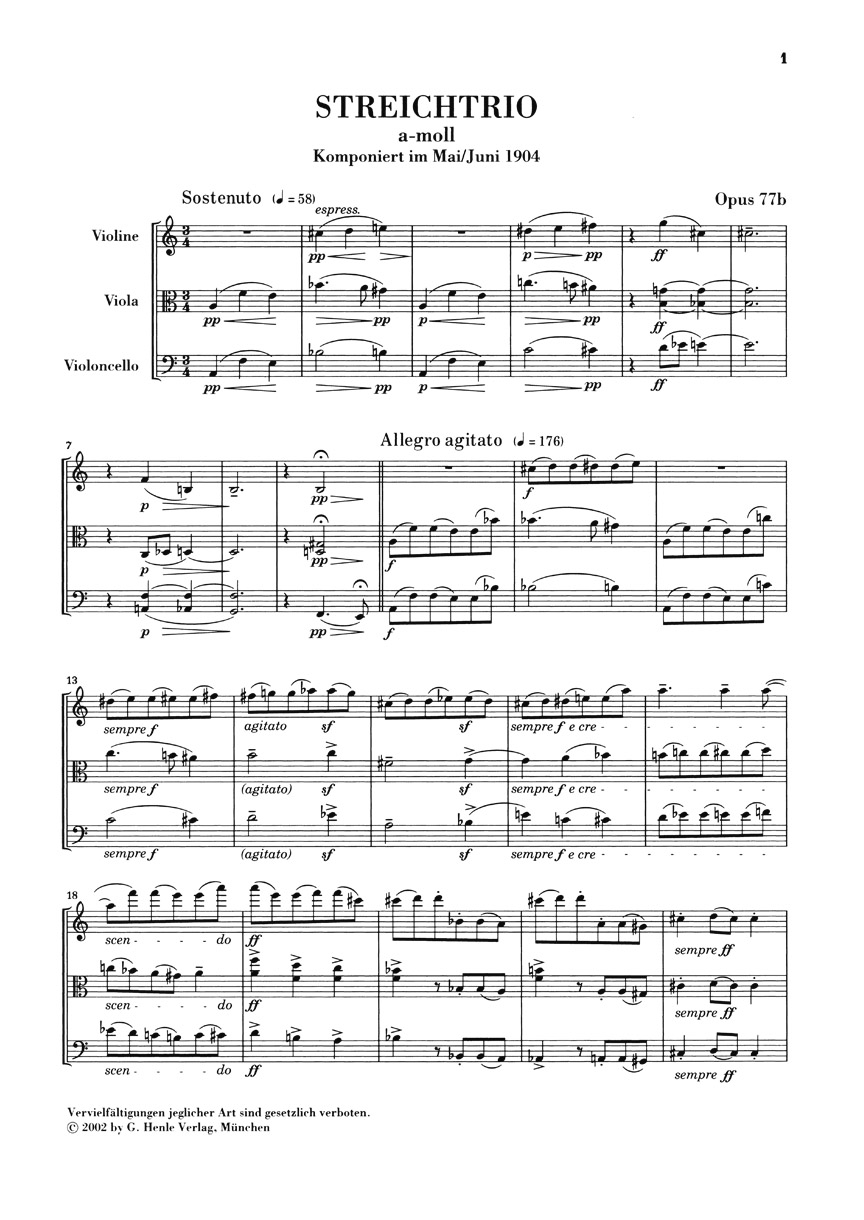 Anderes Coverbild Streichtrios op. 77b, 141b