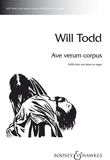 Vorderes Coverbild Ave verum corpus (2001)