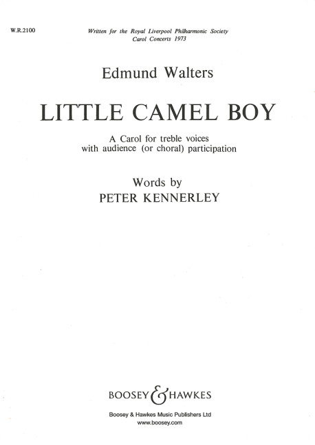 Vorderes Coverbild Little Camel Boy