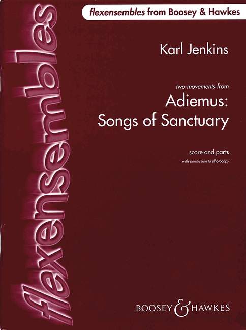 Vorderes Coverbild Adiemus - Songs of Sanctuary