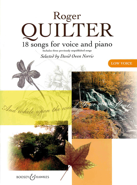 Anderes Coverbild 18 Songs for low voice and piano
