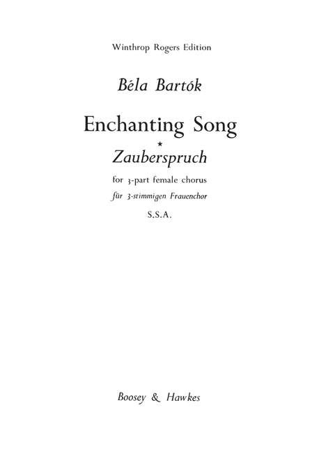 Vorderes Coverbild Zauberspruch