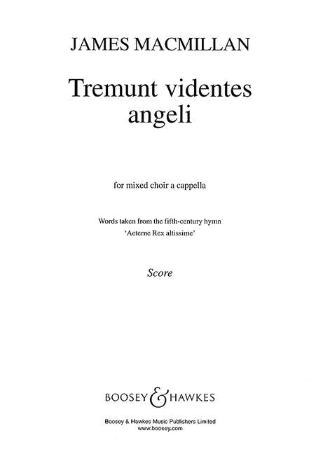 Vorderes Coverbild Tremunt videntes angeli